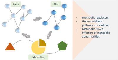 metabolic_net