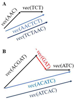 Word Vectors for DNA